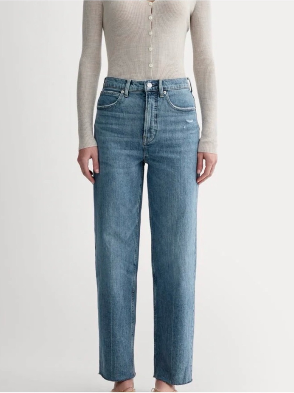 Everlane The Way High Jean Distressed 27.5” Inseam
